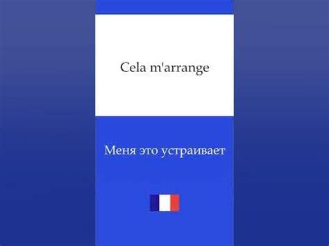 Французский язык - Нужные Фразы #французскийязык - YouTube