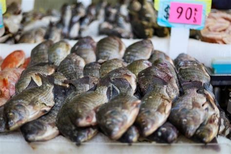 Semana Santa Aumentan Hasta Por Ciento Los Precios De Pescados