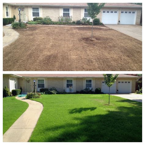 Who Started Grass Lawns at Jasper Vogel blog