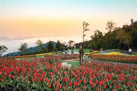 vuon hoa le jardin  amour ve dep phong cach chuan phap