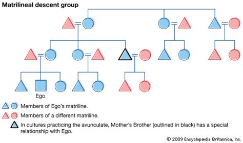 Matrilineal Society Definition Examples And Facts Britannica