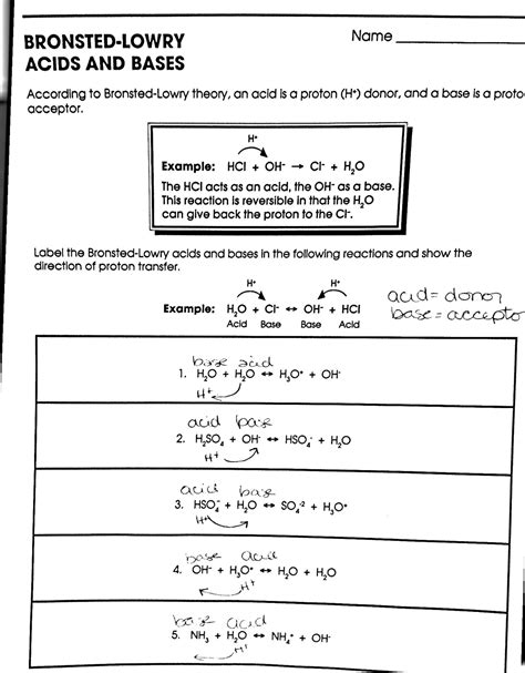 Acids Bases And The Ph Scale Worksheet Printable And