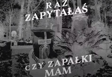 Dildo Baggins ma Przebój na Wszystkich Świętych Bierzesz póki świeży OffTech