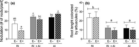 Endophytes Shape The Legacy Left By The Above And Belowground Litter