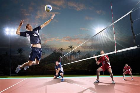 4 459 Professional Volleyball Action Stock Photos Free Royalty Free