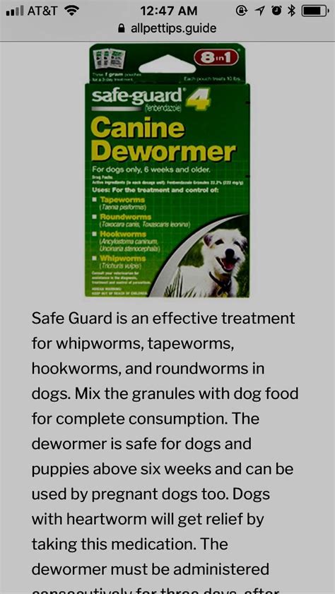 Pin By Stacey Coffey On Pets Canine Roundworm Treatment