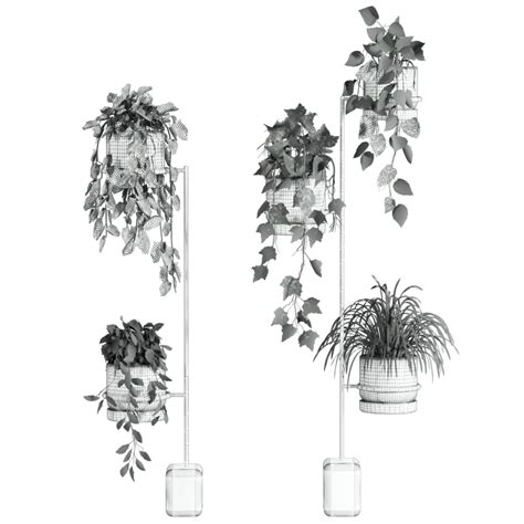 ivy plant 3D model 3dbrute