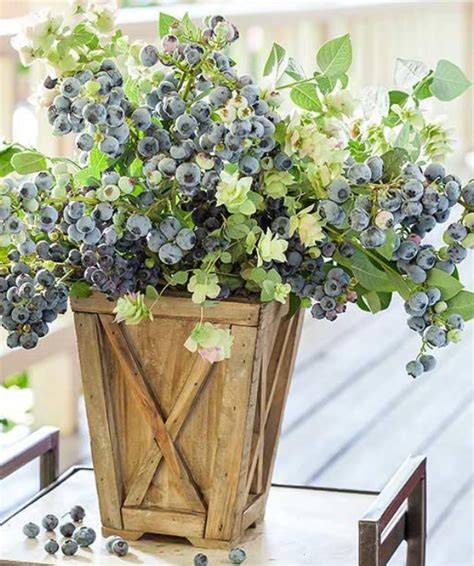 Как выращивать ягоды в контейнерах — АгроXXI