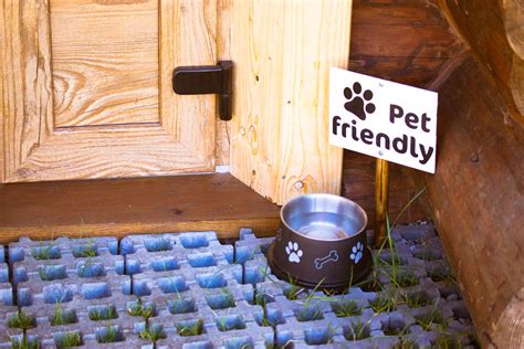 Dog Friendly Uk Where Dogs Are Welcome Puppy School
