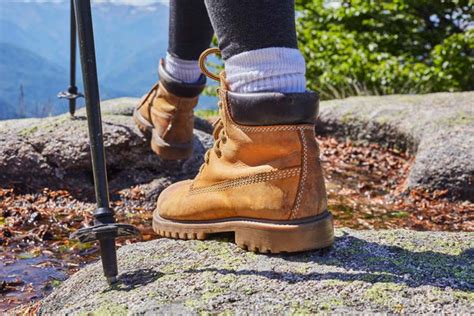 A Quick Guide To Trekking Pole Tips And Baskets Eu Vietnam Business
