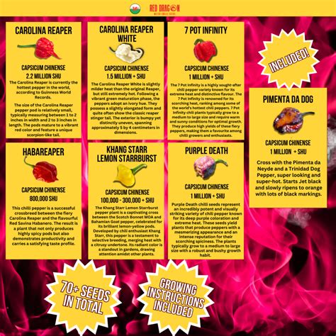 Super Hot Chilli Seeds 70 Super Hot Seeds Included Red Dragon Seeds