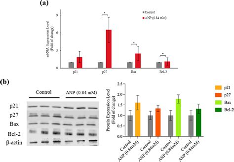 Figure 1 From Pioneering Astaxanthin Tumor Cell Membrane Nanoparticles