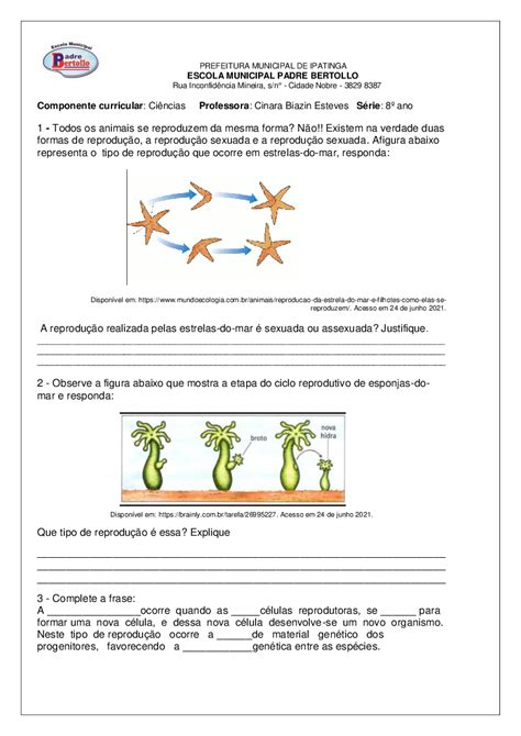Exercicios Reproducao Sexuada E Assexuada Baixar Pdf De Docero Mobile My XXX Hot Girl