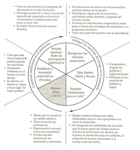 Buenos Tratos Apego Trauma Desarrollo Resiliencia Preguntas Que