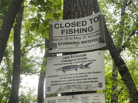 Get Local News with Burlington Free Press Online Obituaries 5