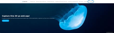 Activar Capture One, aprende a activar tu licencia - Capture One Trainer
