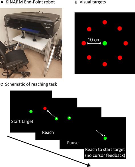 Apparatus And Visuomotor Rotation Task A KINARM End Point Bilateral