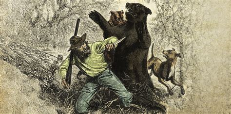 How to Survive a Black Bear Attack - According to Science - BEAR GUIDE