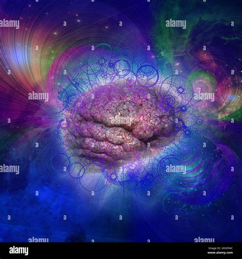 Human Brain Model 3d Rendering Stock Photo Alamy