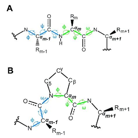 Schematic Diagram Of Protein Peptide And The Three Torsion Angles Phi