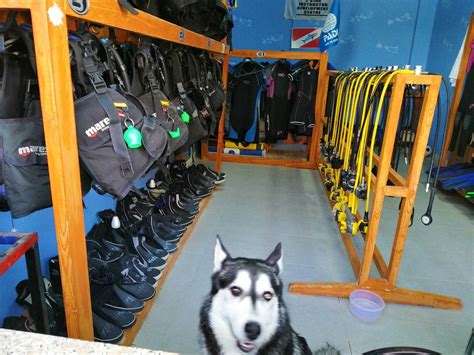Aqaba Adventure Divers 2025 All You Need To Know Before You Go