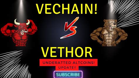 VECHAIN VS VETHOR MAJOR UPDATE FOR LONG TERM INVESTMENT MOST