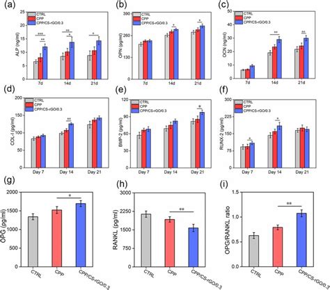 The Expression Of Osteogenesis Related Proteins In BMSCs Including A