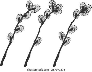 Pussy Willow Branches Silhouette Stock Vector Royalty Free Shutterstock