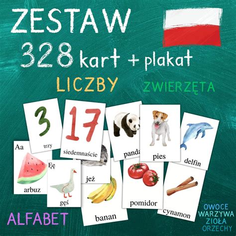 ZESTAW KARTY POLSKI 328 Kart Do Nauki Plakat Alfabet Liczby Zwierzęta