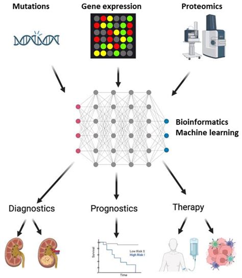 Biomedicines Free Full Text Diagnostic And Prognostic Biomarkers In