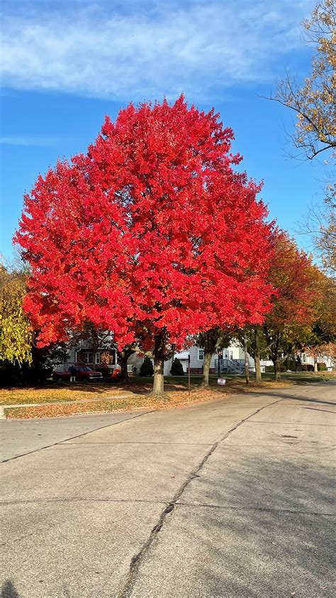 Fairview Park, OH | Official Website