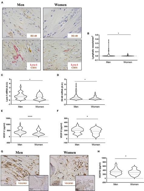 Frontiers Characterization Of The Sex Specific Pattern Of