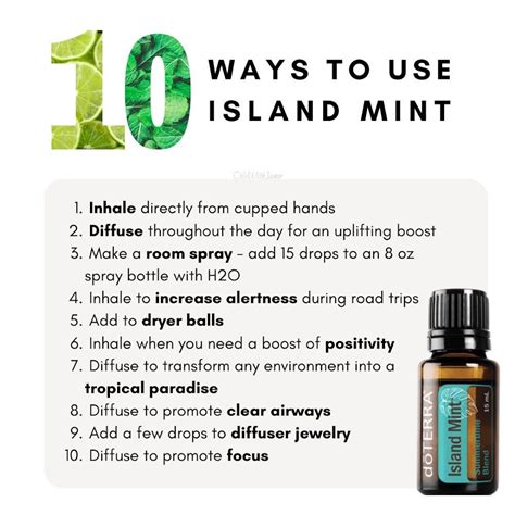 Exclusive DoTERRA Essential Oil Island Mint Summertime Blend Oils