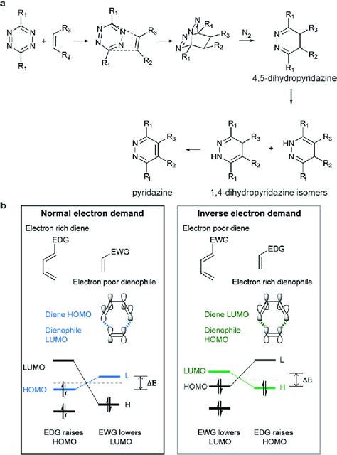 Mechanism Of Iedda Reaction A Schematic Representation Of The