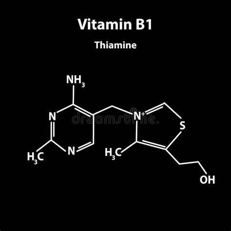 Vitamin B Thiamine Molecular Chemical Formula Infographics Vector