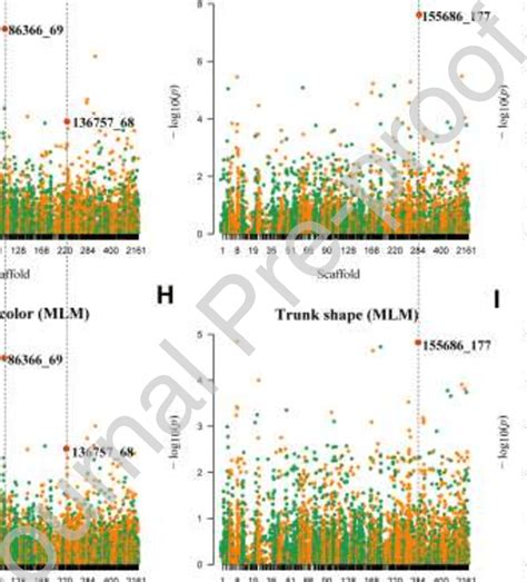 Manhattan Plots Showing The Genome Wide Association Study Gwas