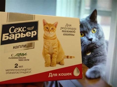 Капли для кошек во время течки - обзор препаратов
