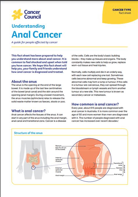 Anal Cancer Cancer Council NSW