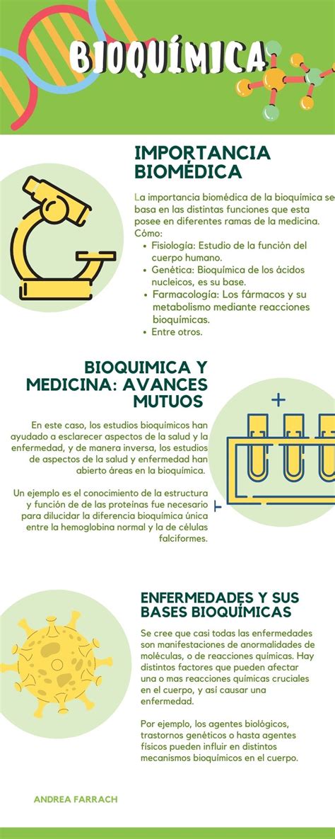 Bioqqu Mi Ca La Bioqu Mica Importancia Biom Dica Y El Metabolismo