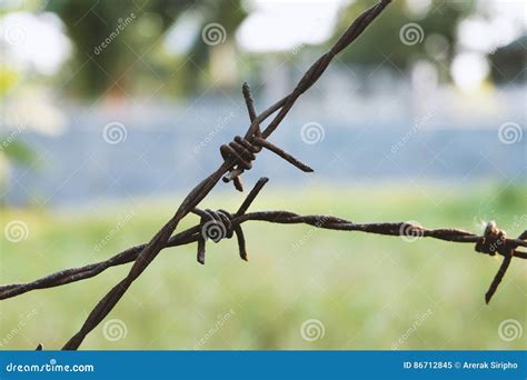 Rusty Barbed Wire Stock Image Image Of Metal Iron Boundary 86712845