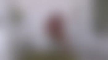 Muscle Domination Porn Tube Video Clips Clips4sale