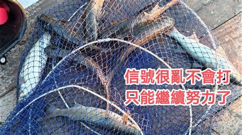 【野釣之章】自製釣烏魚、虱目魚金珠鉤釣法，信號分享！ Youtube