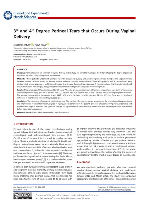 PDF 3rd And 4th Degree Perineal Tears That Occurs During Vaginal Delivery