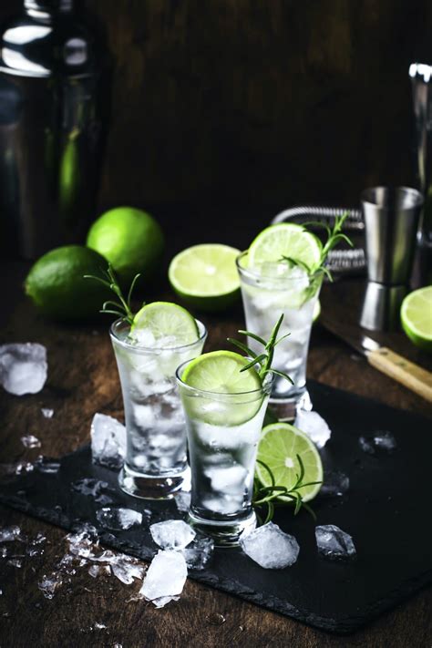 Der Gin Tonic Einfach Schnell Und Erfrischend Alkipedia Rezept