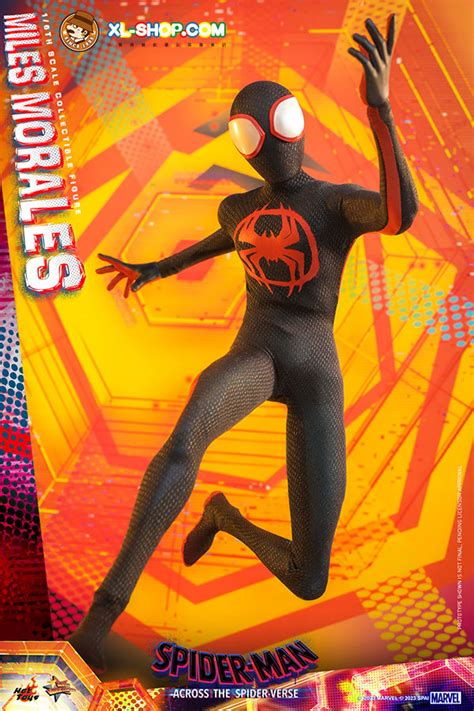 Hot Toys Mms Spider Man Across The Spider Verse Th Scale Miles Morales Collectible