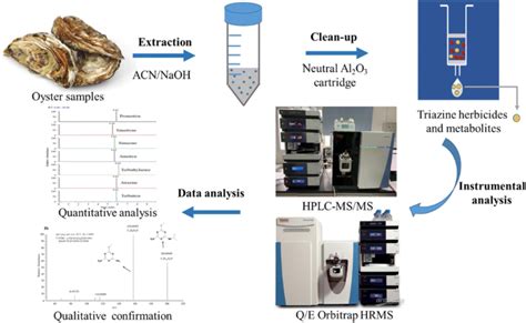 HPLC MS MS结合Q E Orbitrap HRMS同时测定贝类中的三嗪类除草剂及其代谢物 Analytical and