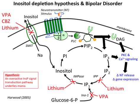 lithium [TUSOM | Pharmwiki]