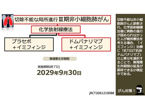 日本がん対策図鑑 【淡明細胞型腎細胞がん：一次治療（orr）】「オプジーボ＋ヤーボイ」vs「オプジーボ」vs 「vegfr Tki」