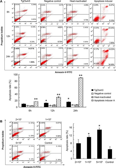 Apoptosis Detected By Flow Cytometry A The C172 Cells Were