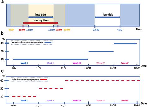 Schematic diagrams represent (a) the daily tidal cycles and temperature... | Download Scientific ...